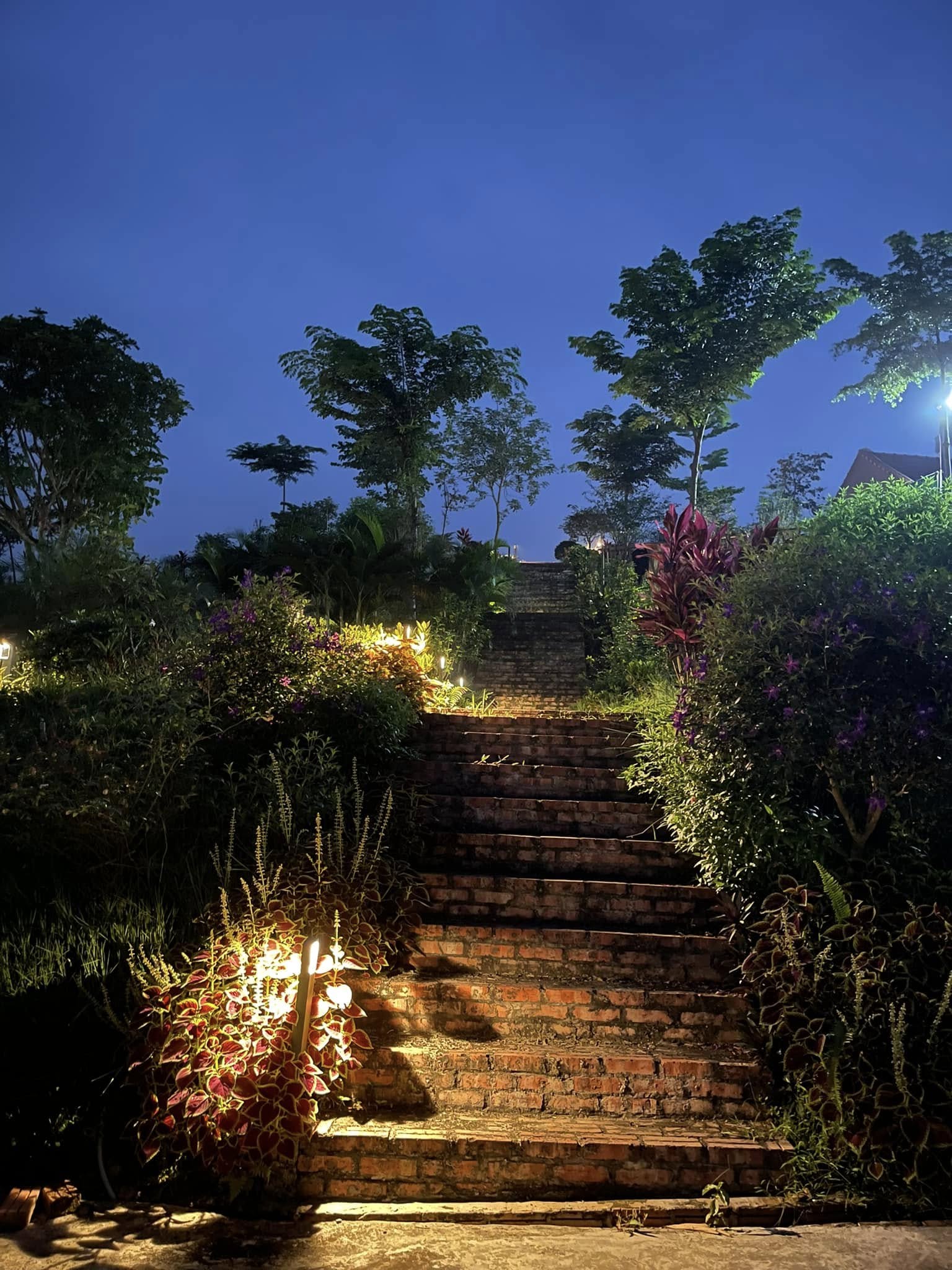 Thiết kế cảnh quan