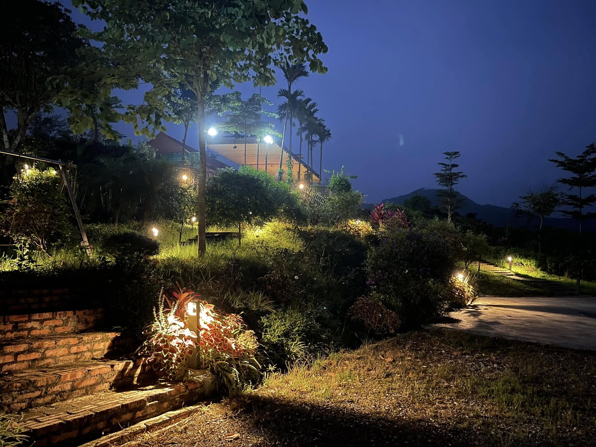 Thiết kế cảnh quan