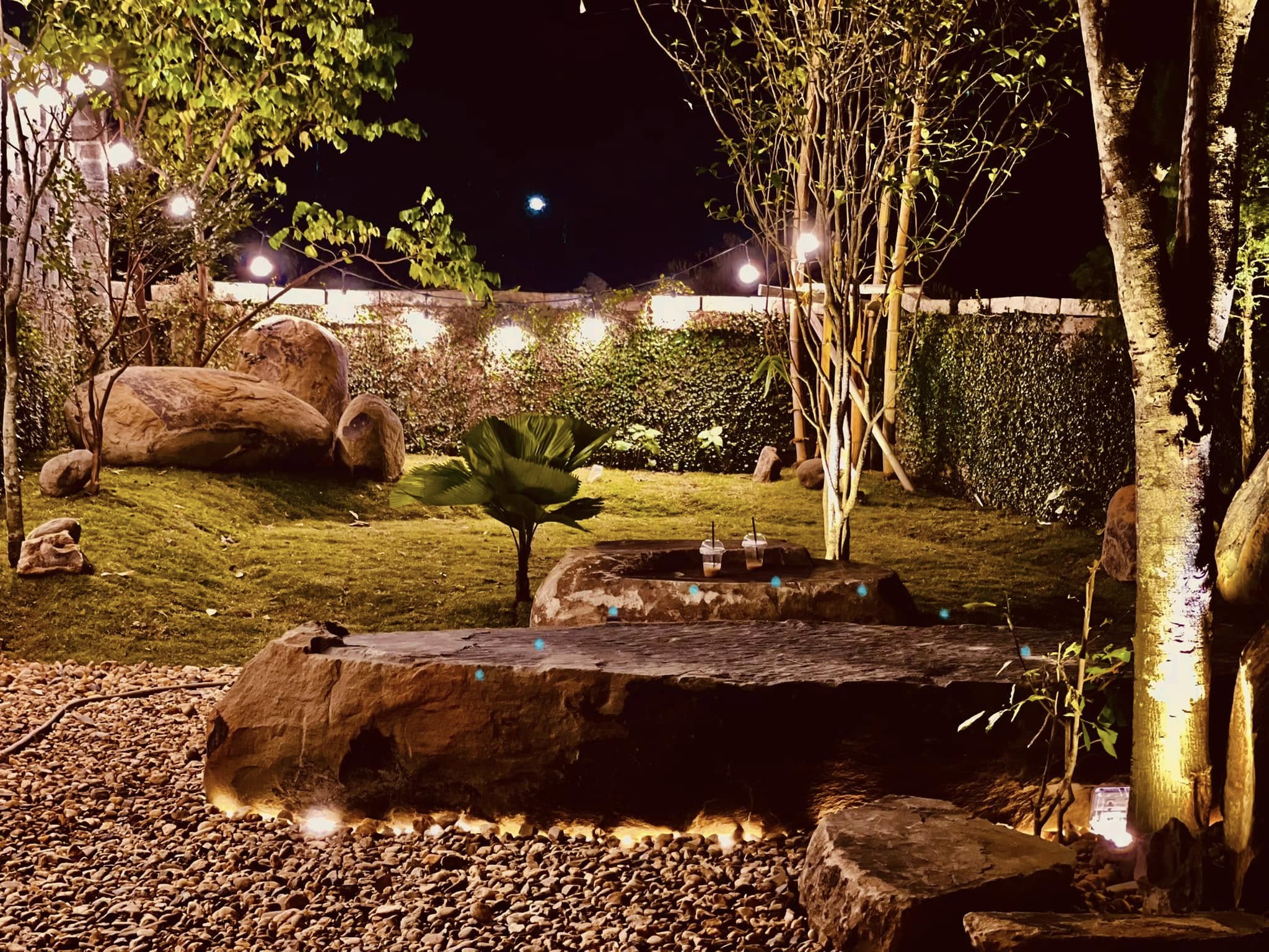 Thiết kế cảnh quan 01