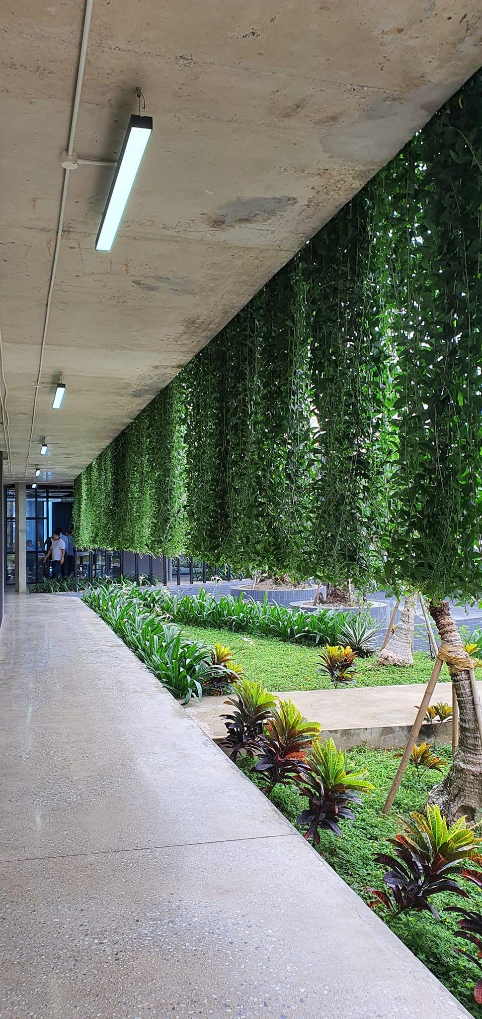 Thiết kế cảnh quan