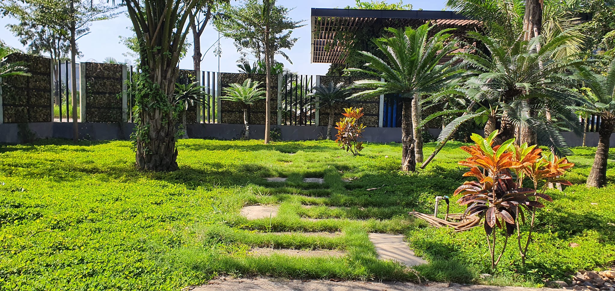 Thiết kế cảnh quan 02