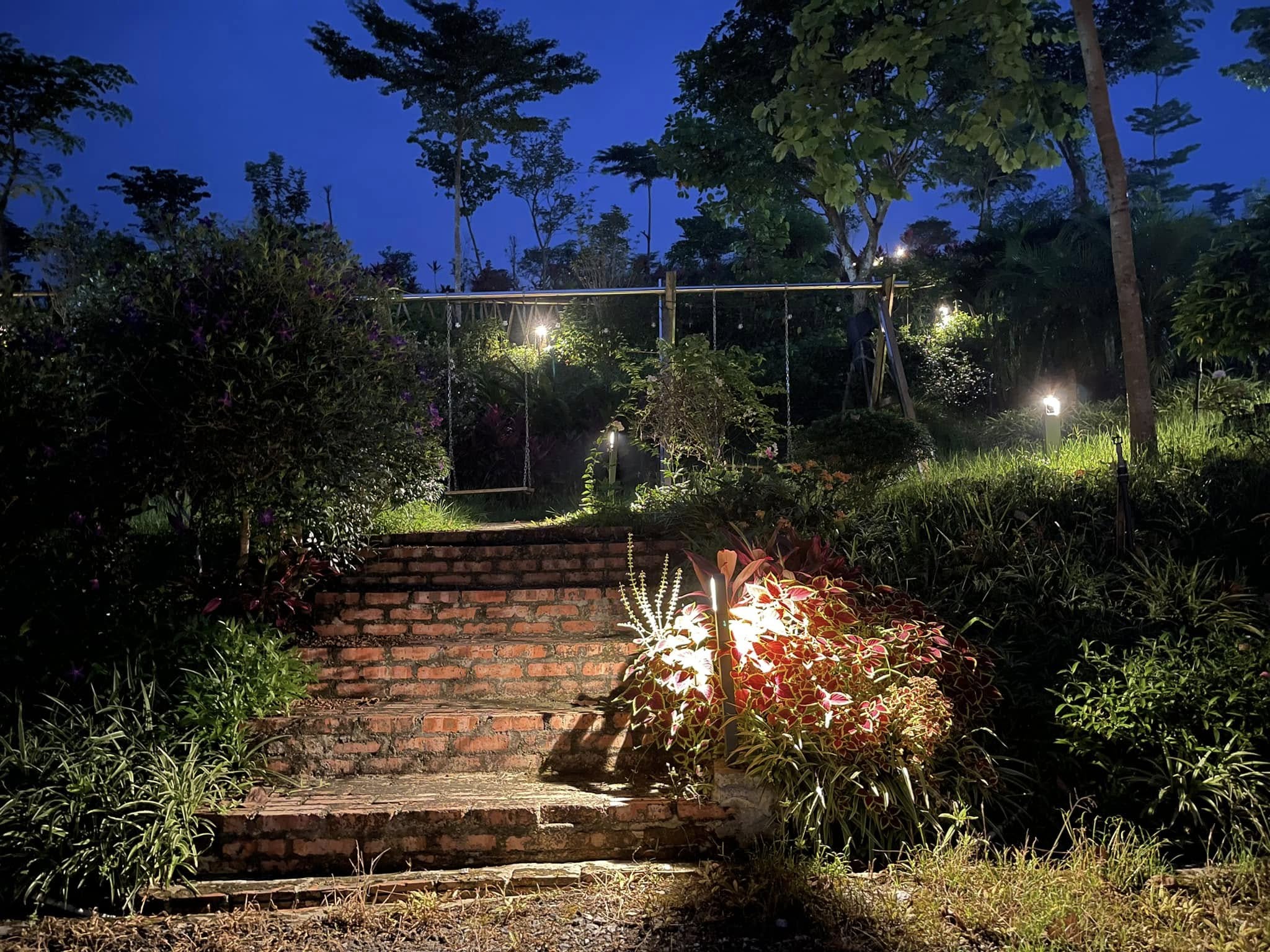 Thiết kế cảnh quan