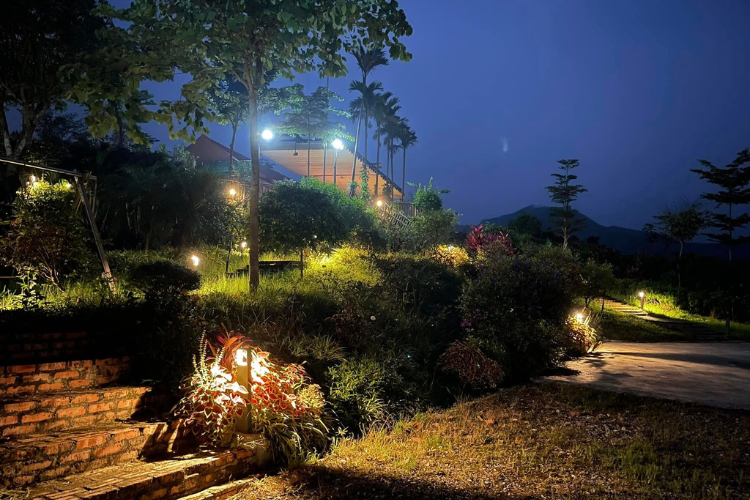 Thiết kế cảnh quan